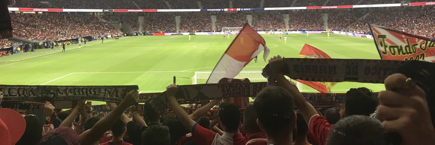 Tintín banner