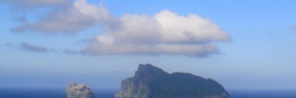 ali__wilson Profile Banner