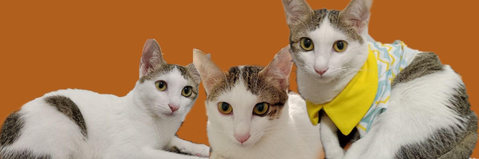 M__JKAY's profile banner image
