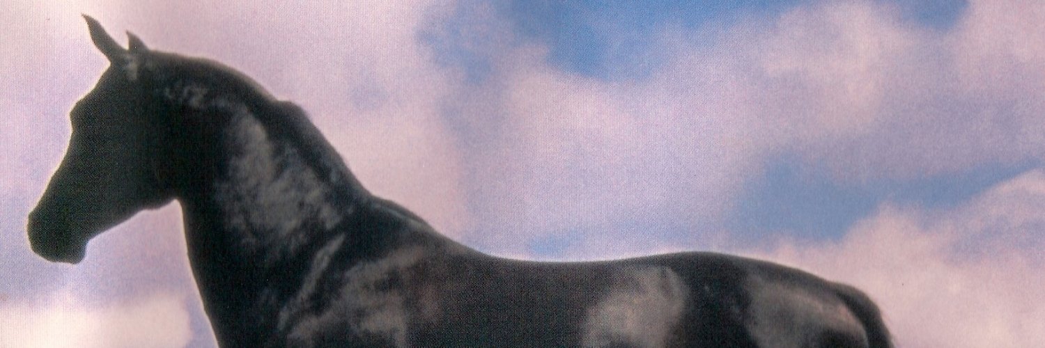 HilleryWithanE's profile banner image