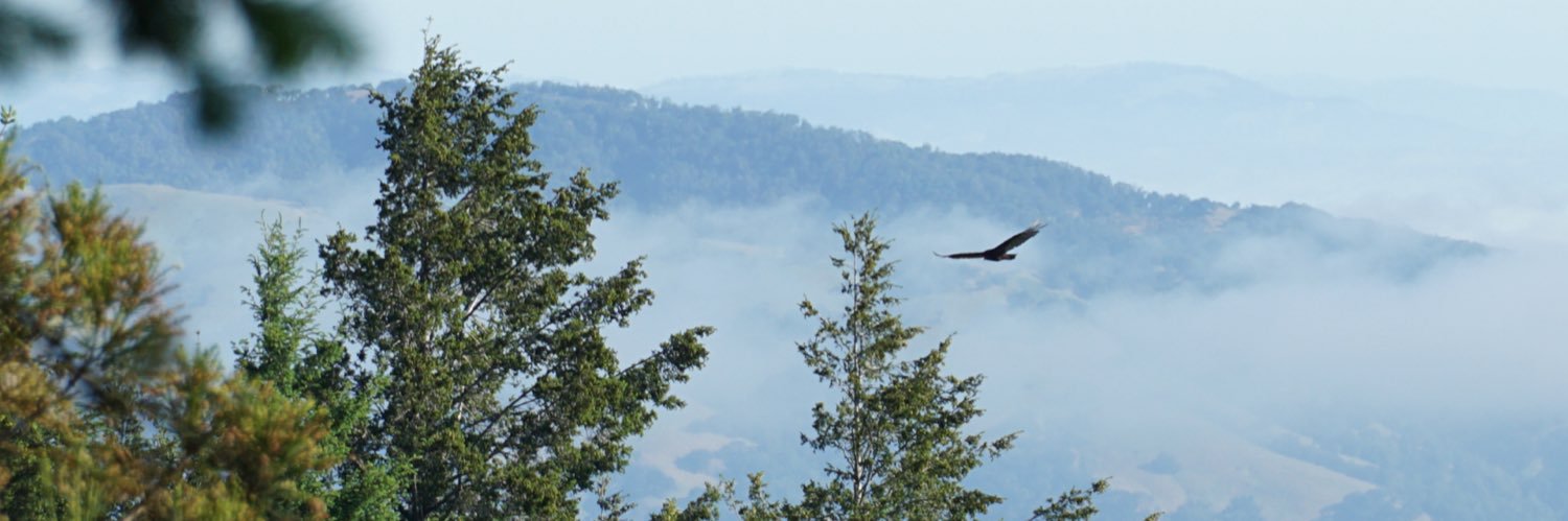 Luis Valer del Portillo banner