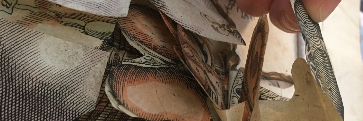 WSperrazza's profile banner image