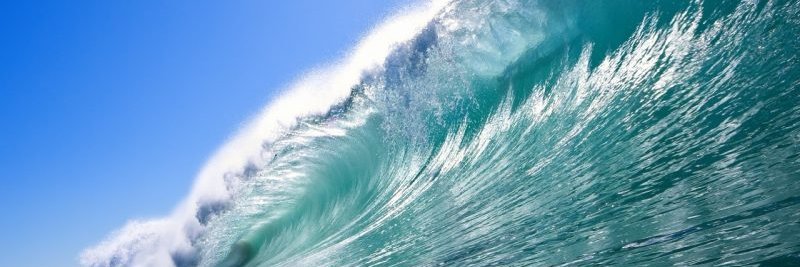 Montserrat Martin banner