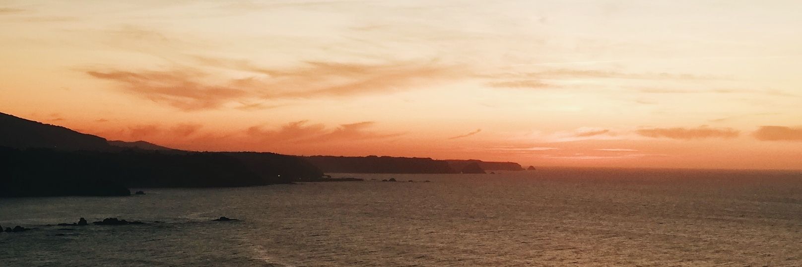 Leyree_BA's profile banner image