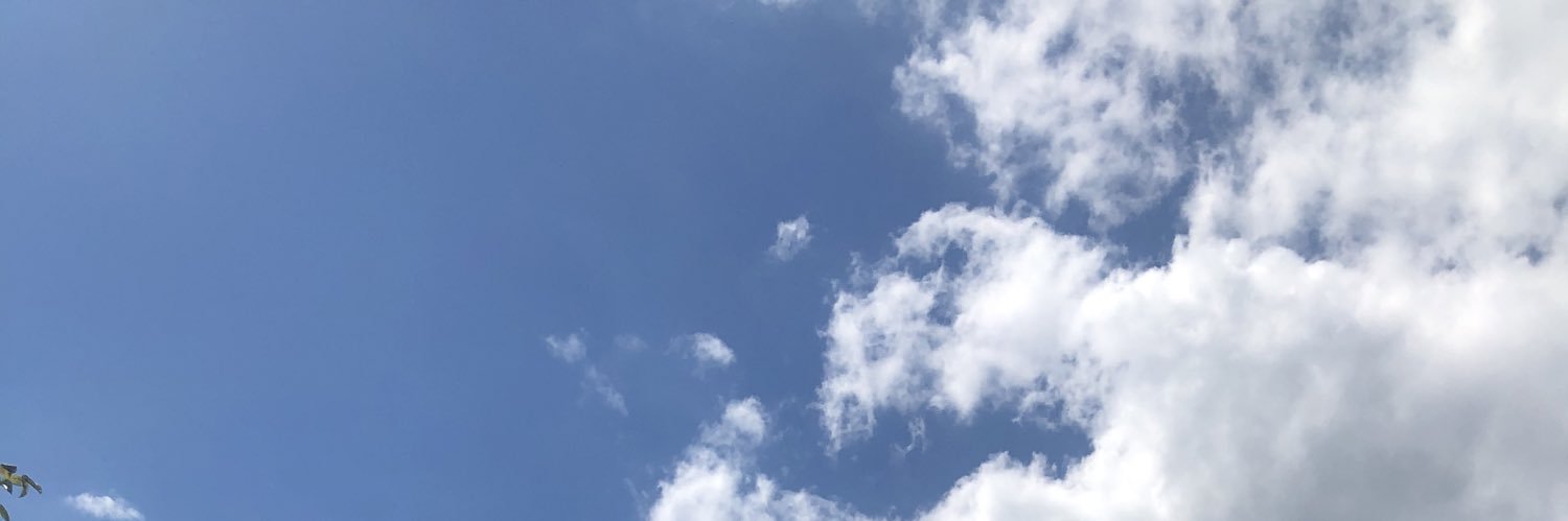 sselenator500's profile banner image
