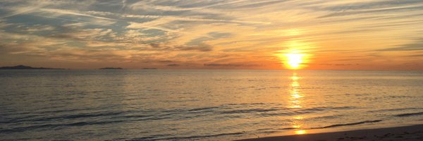 RoseNewton123 Profile Banner