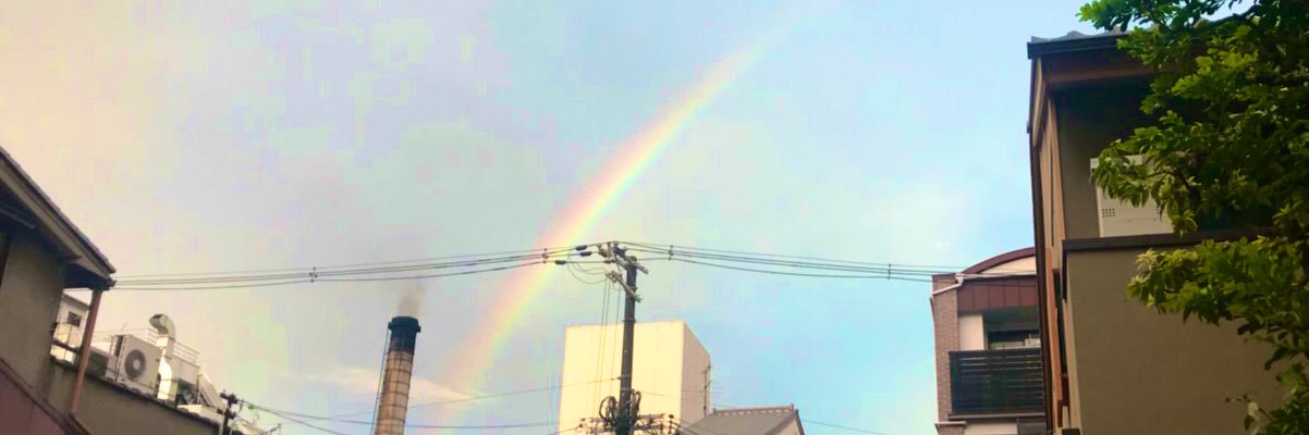 ann0026's profile banner image