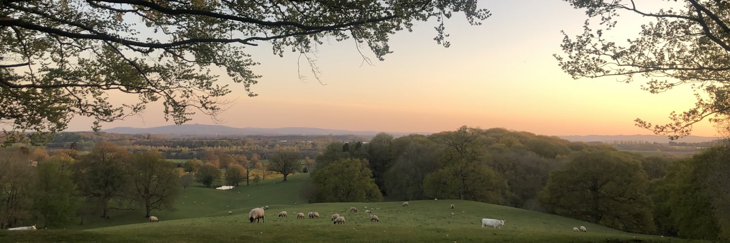 Amelia Ireland banner