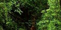 muthoniconso's profile banner image