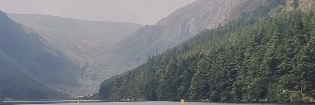 leonardmiller's profile banner image