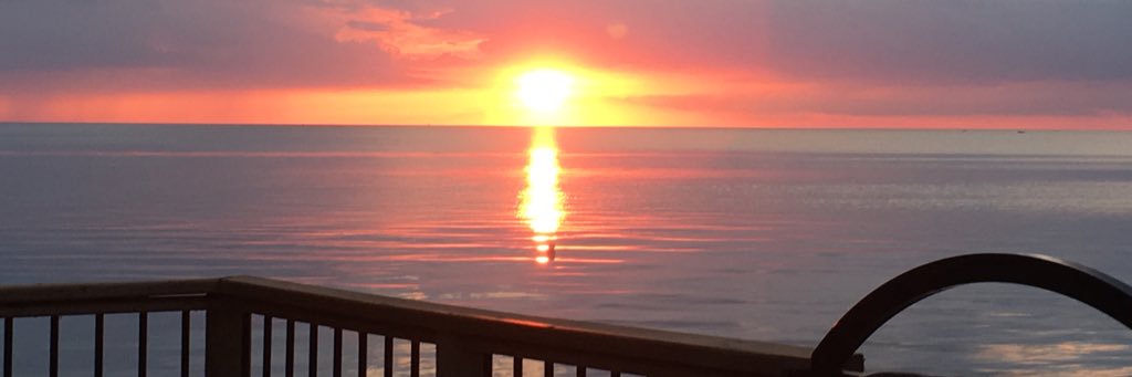 dalecarr's profile banner image