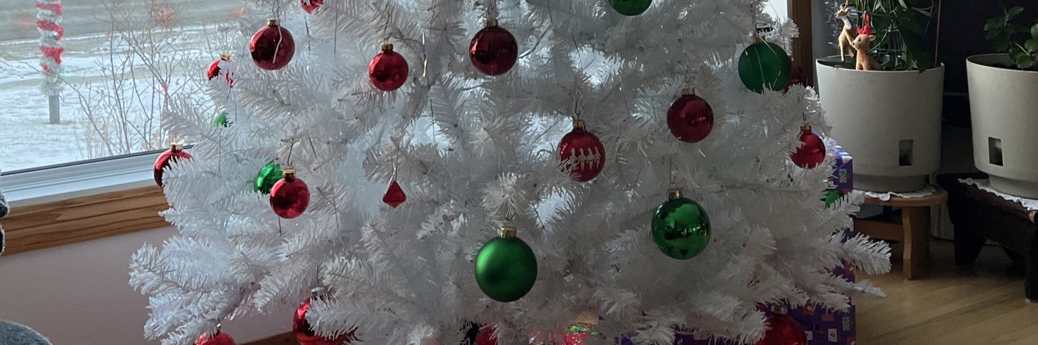 siplkanona's profile banner image