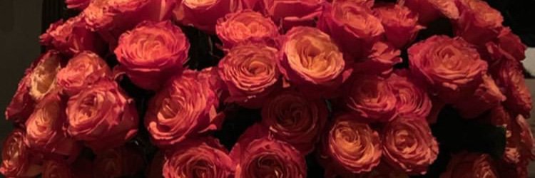 AssrianaKD's profile banner image