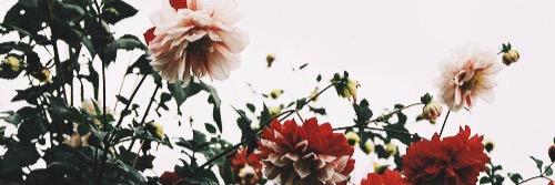 TheAriLopez's profile banner image