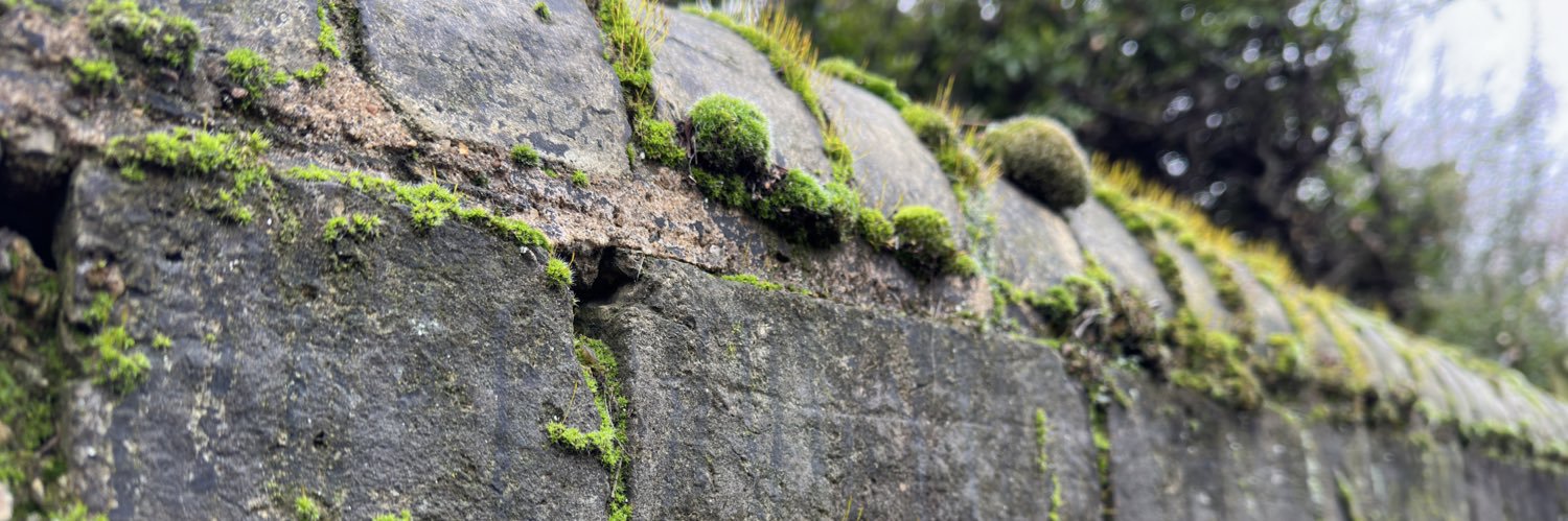 Jonathan Beard banner