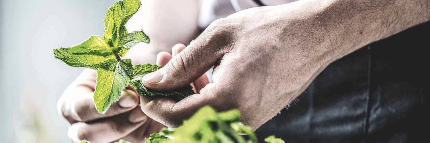 Koen Slippens banner