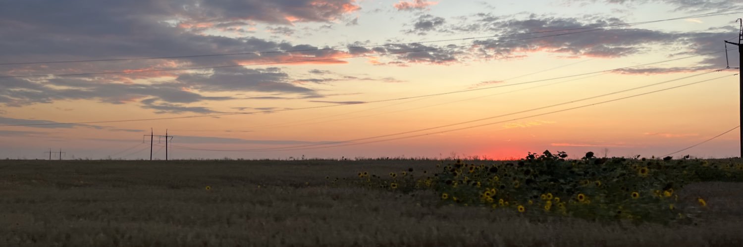 nikol_rusik's profile banner image