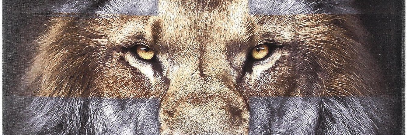 mracepaid's profile banner image