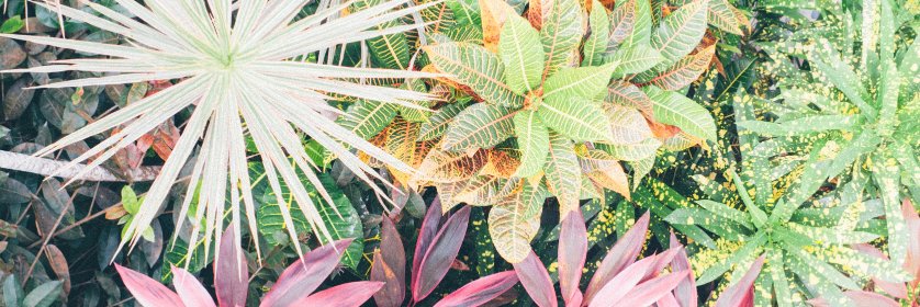 conormcglauflin's profile banner image