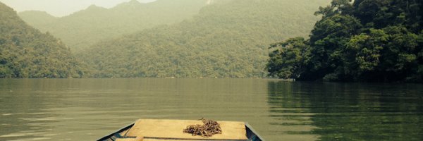 sensetcoherence Profile Banner