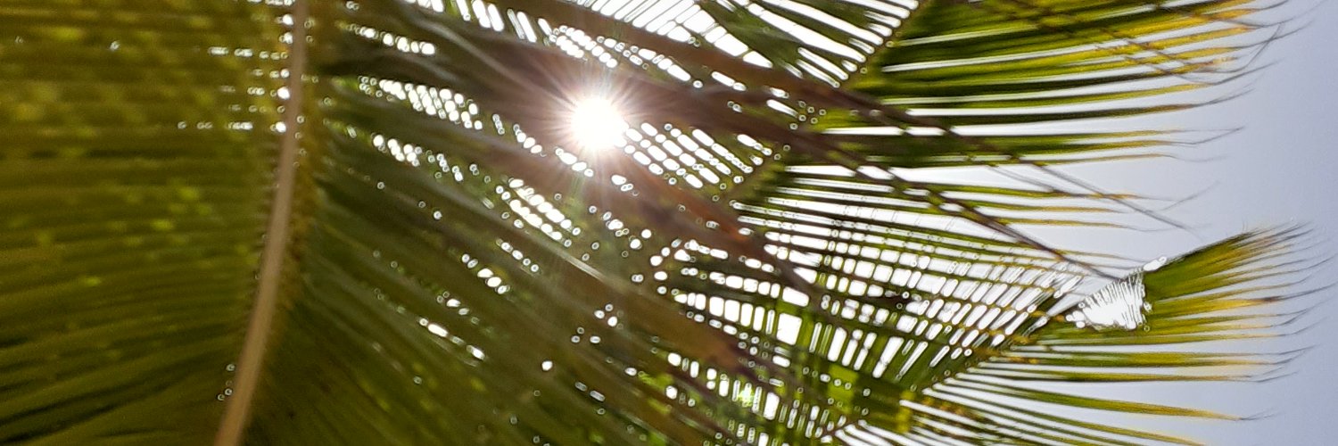 scsp390's profile banner image