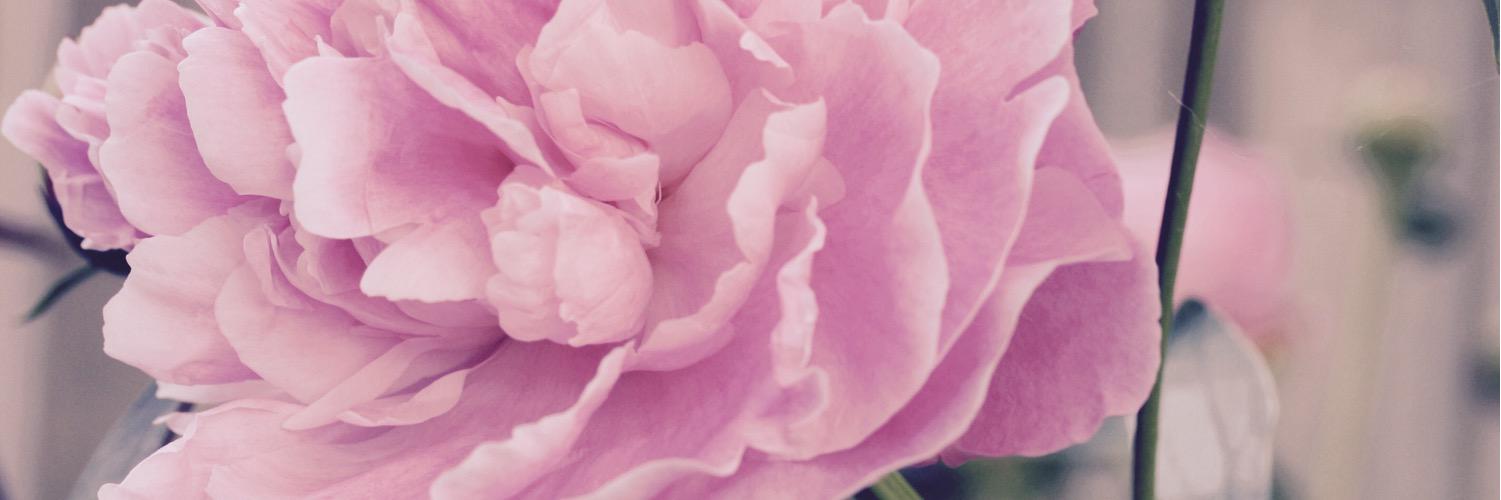 Katey_M's profile banner image