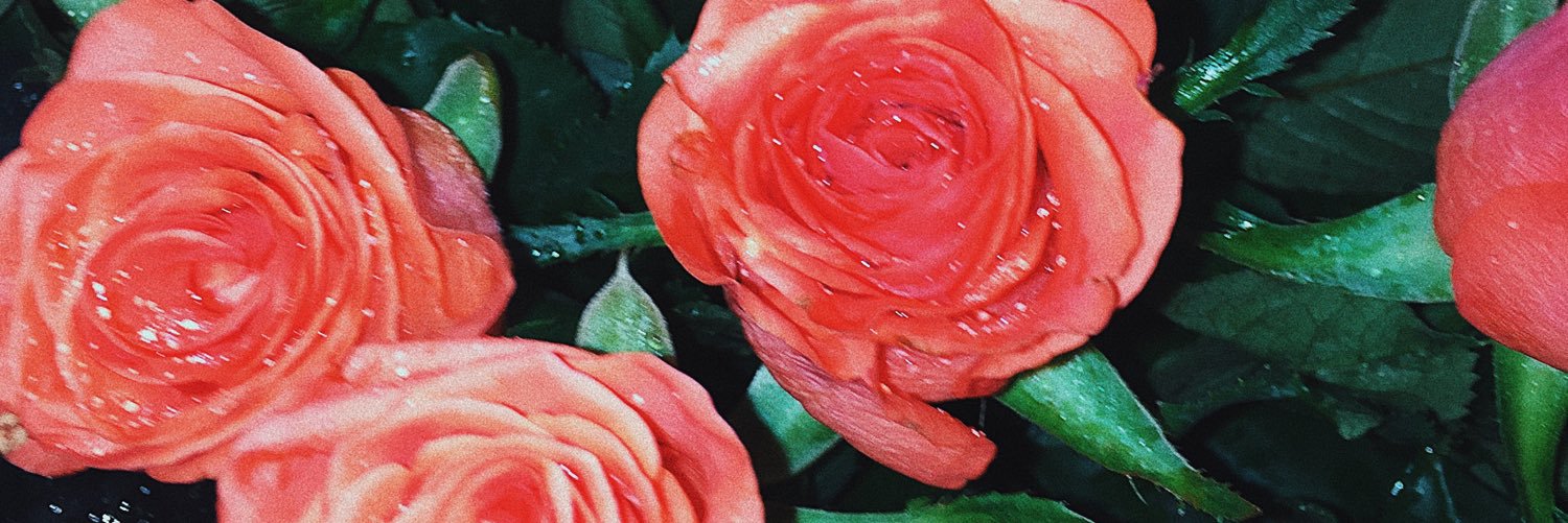 ol2023's profile banner image