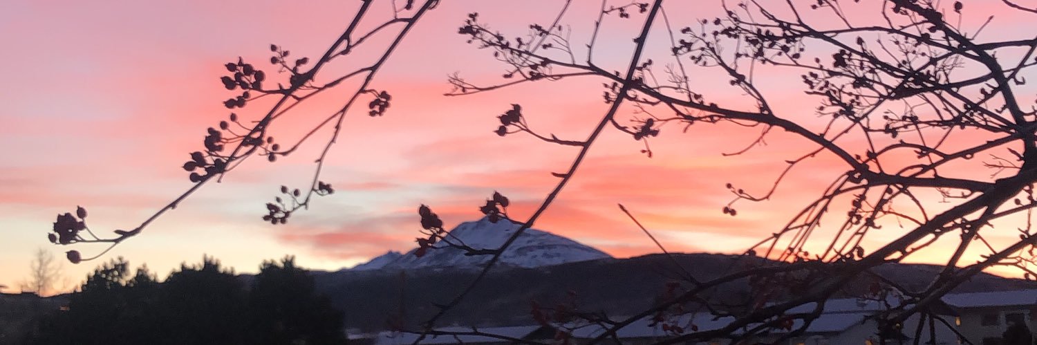 thorunn29's profile banner image