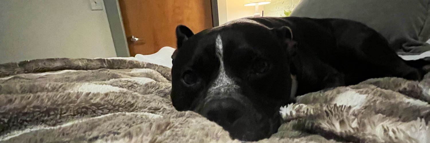 Kaitlyn Dobson banner