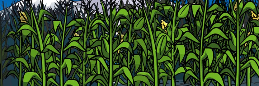 Goyo Yupit Digital banner