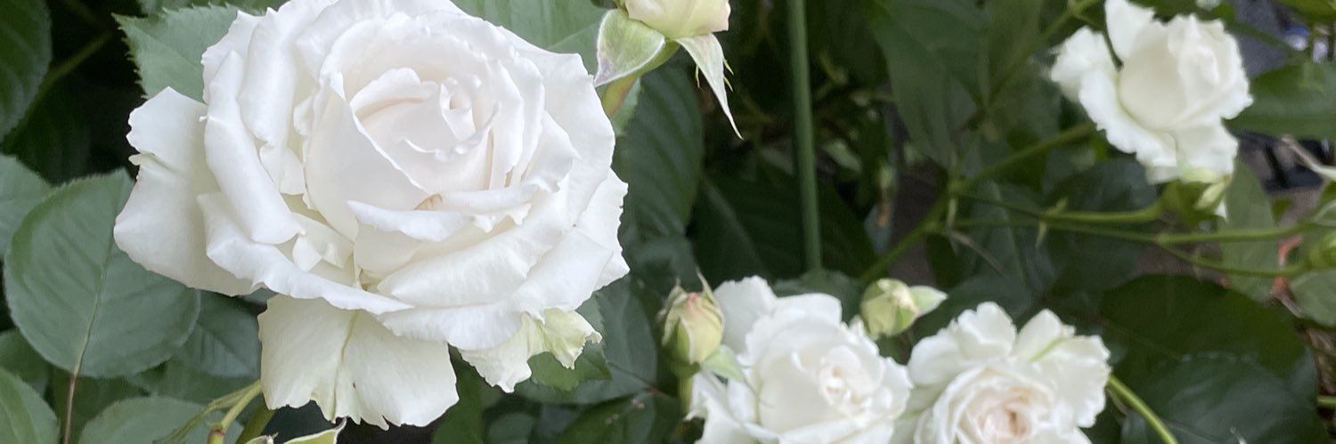 0832I's profile banner image