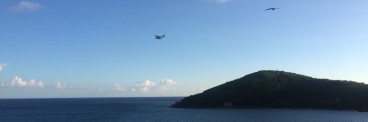 sidney_young_'s profile banner image