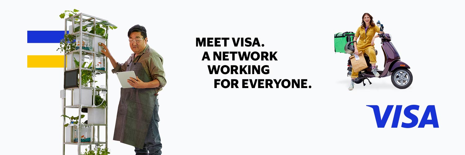Visa Security banner