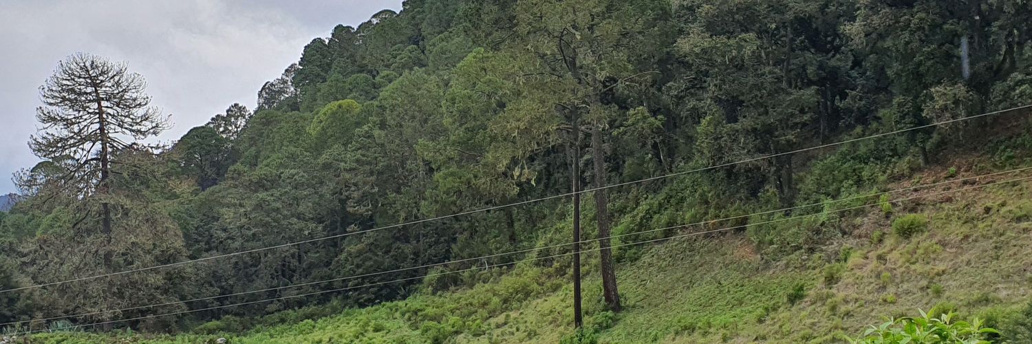 bikerdkn's profile banner image