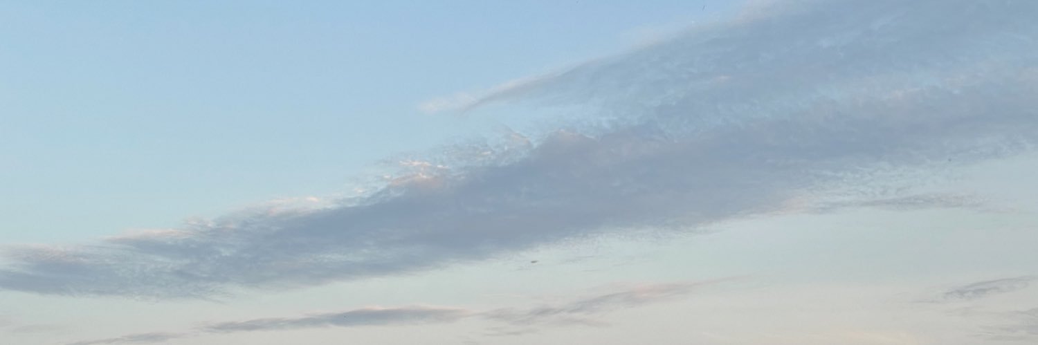 Hank Bao banner