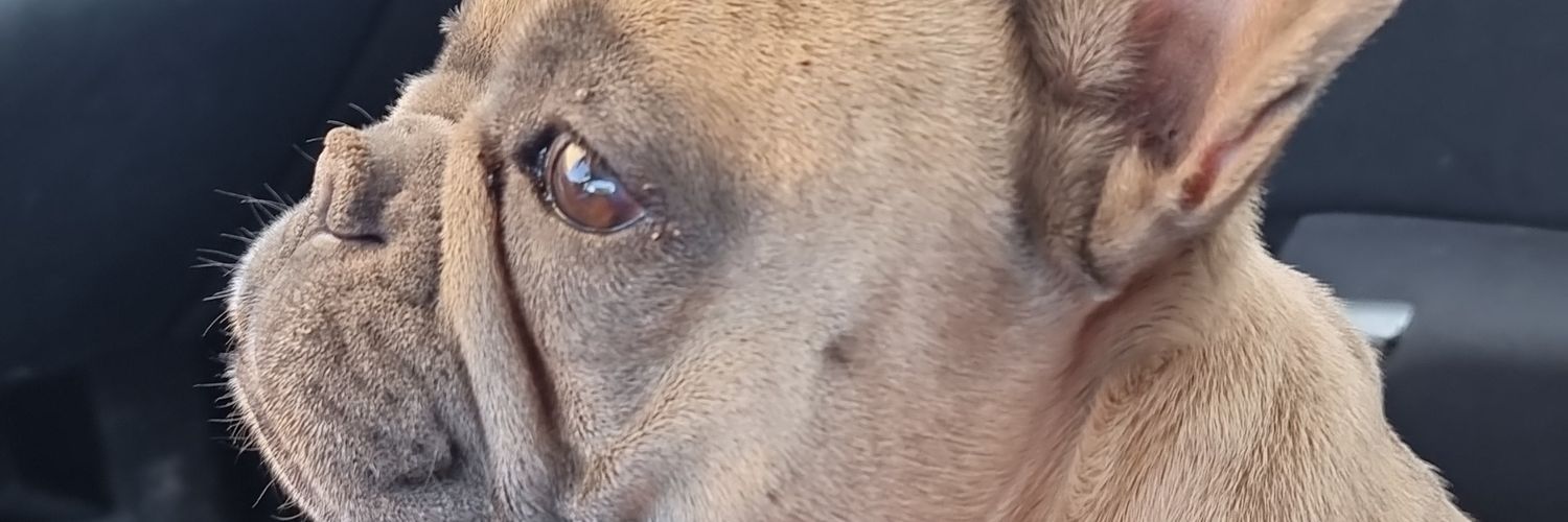 AdrianFR8's profile banner image