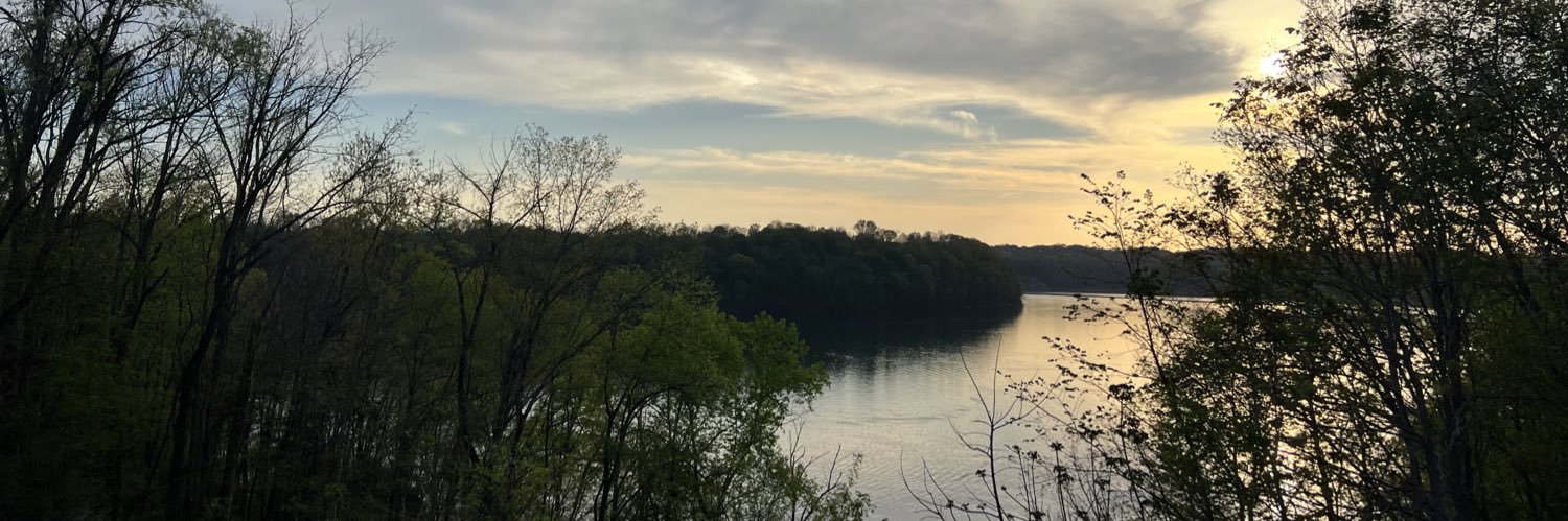 savshayne's profile banner image