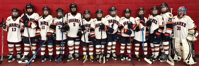 Barrie Sharks banner