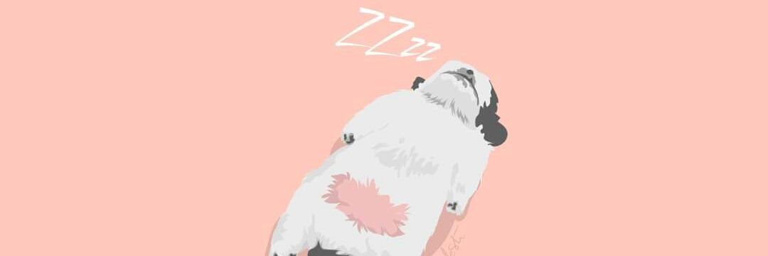 JXSHUALYN's profile banner image