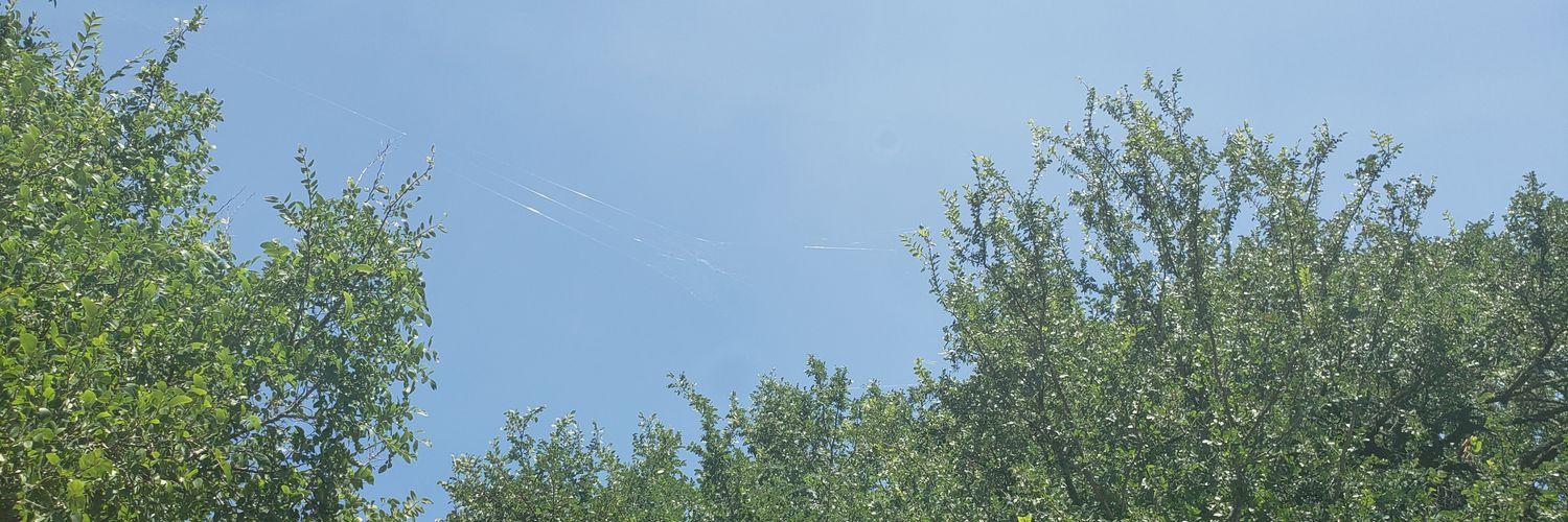 Roman Avermann banner