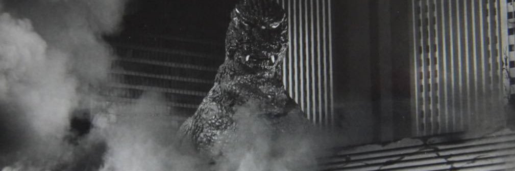 xVenomKnightx's profile banner image