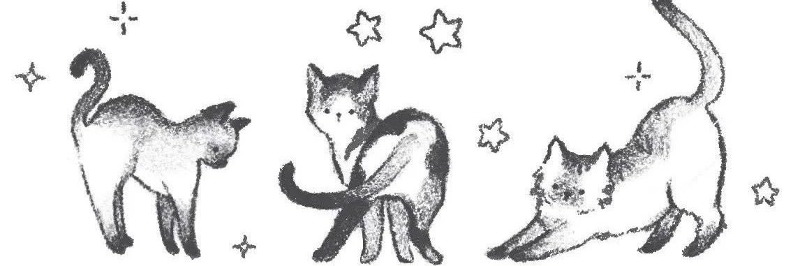 genesispaigec's profile banner image