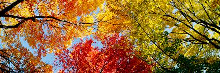 Waukesha South banner