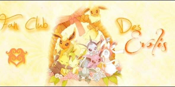 Mikidedrago's profile banner image