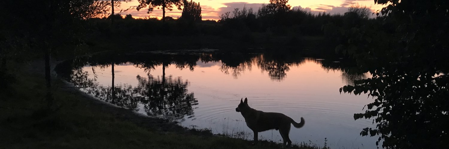 Anitavandenberg's profile banner image