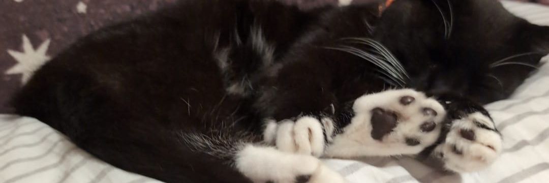 miawoods74's profile banner image