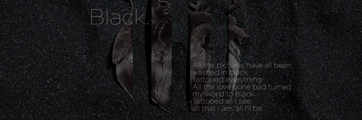 Tonny Tavares banner