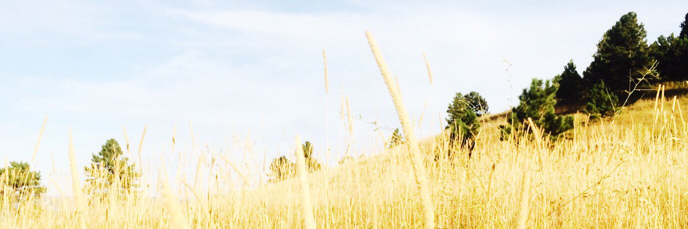 jessedit's profile banner image