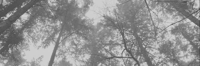 itsdinallyz's profile banner image
