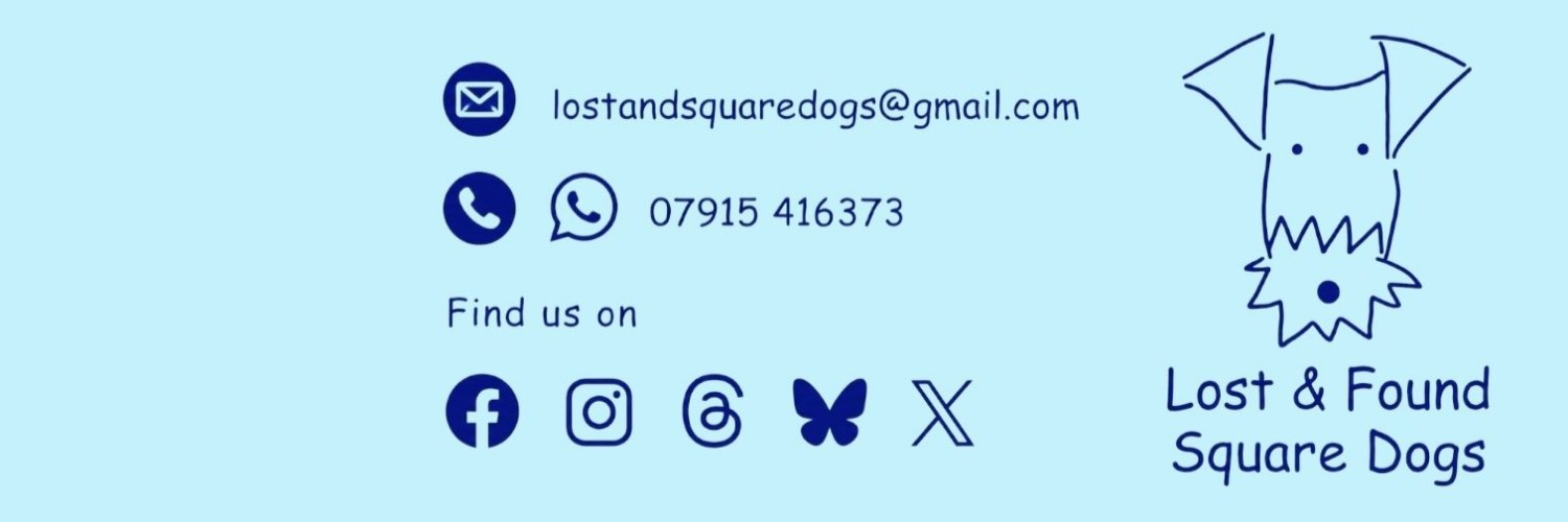 LandFSquareDogs's profile banner image